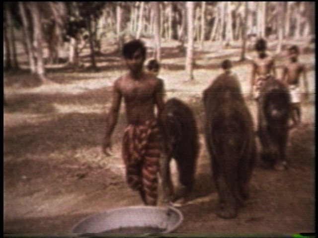 Steve Reinke. Artifact from The Hundred Videos. 1994