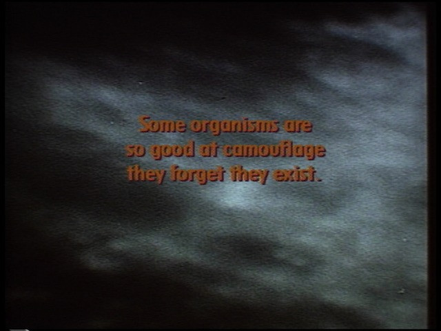 Steve Reinke. Camouflage from The Hundred Videos. 1996