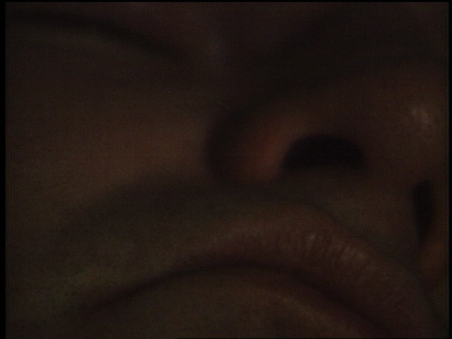 Steve Reinke. Sleep from The Hundred Videos