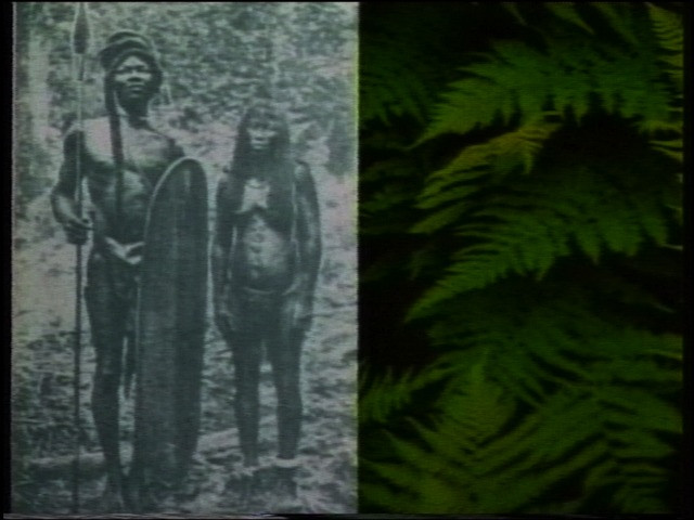 Steve Reinke. Speculative Anthropology from The Hundred Videos. 1991