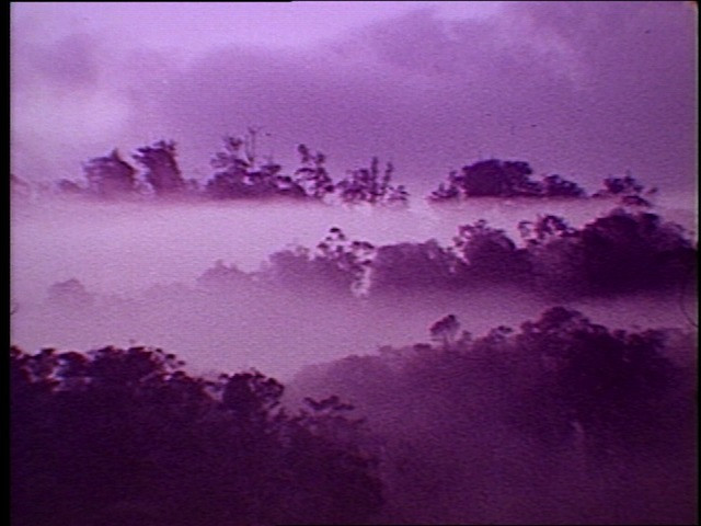 Misty