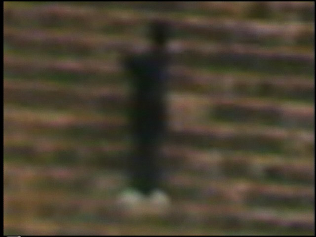 Steve Reinke. Video for Intellectuals