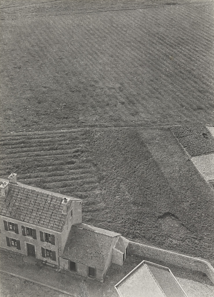 Geometry and Texture of Landscape