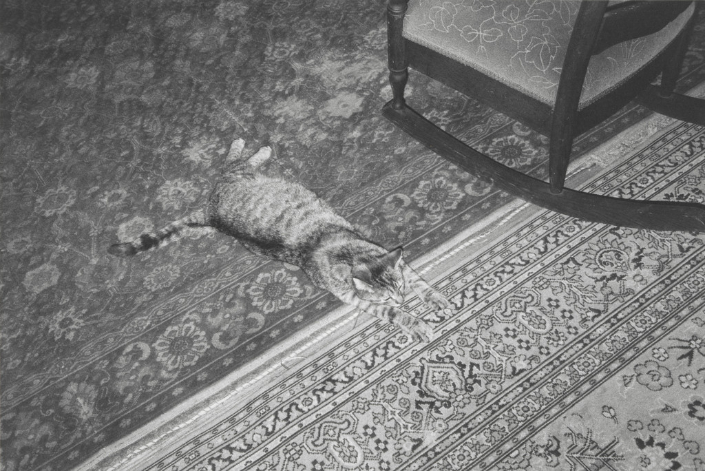 Untitled, Elaine Mayes, 1973