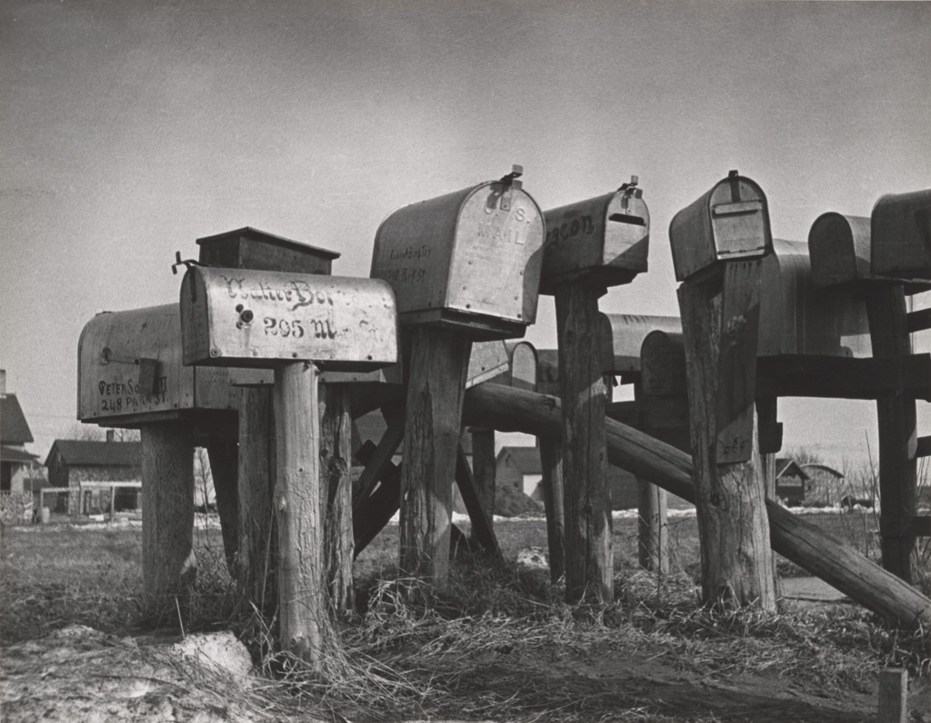 Return of the Native