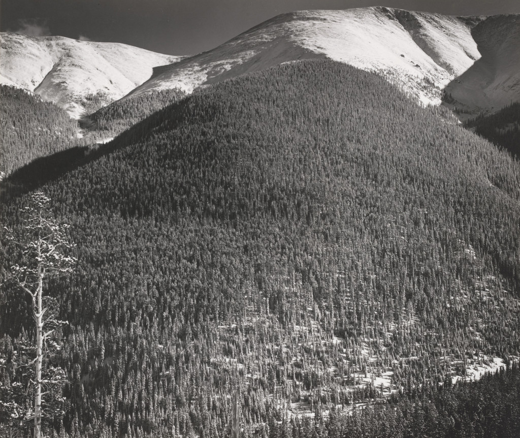 Berthoud Pass Country, Colorado