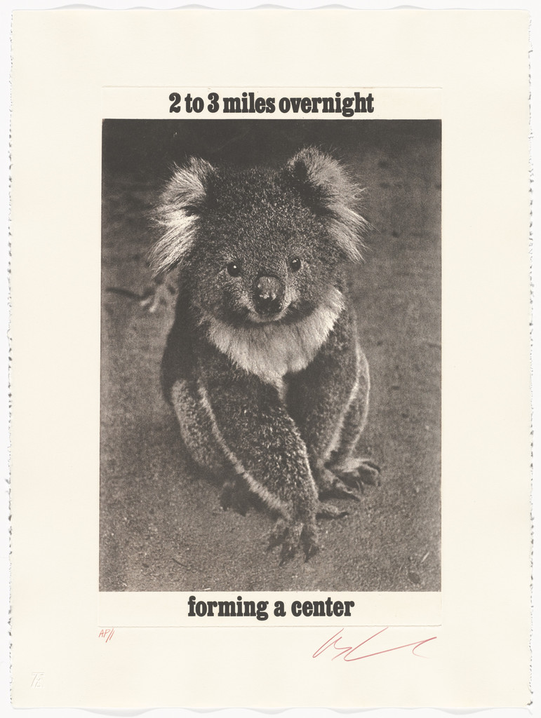 2 to 3 Miles Overnight/ Forming A Center from the series Brown Bears