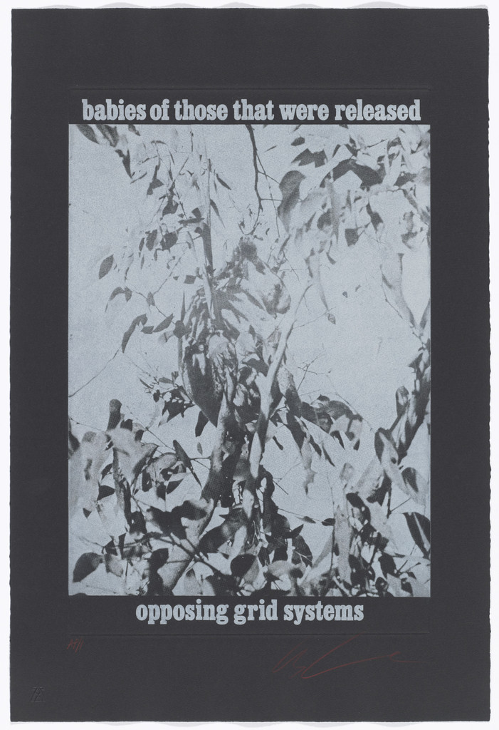 Babies of Those That Were Released / Opposing Grid Systems from the series White Bears