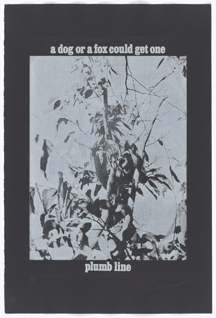 A Dog or a Fox Could Get One / Plumb Line from the series White Bears