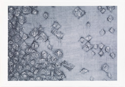Ann Hamilton. warp & weft I. 2007, dated 2008