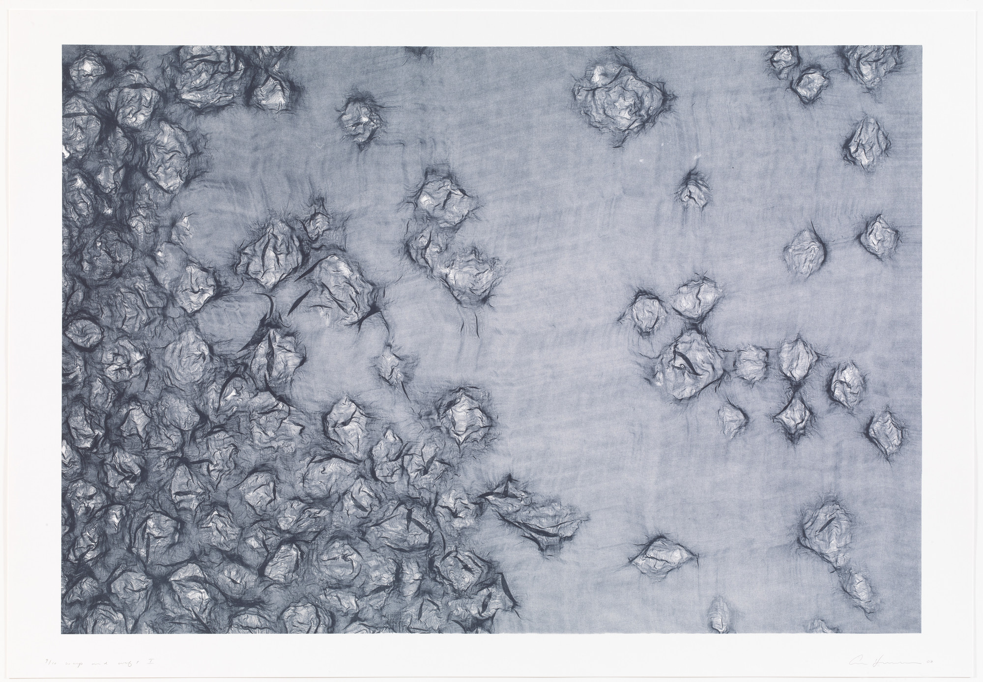 Ann Hamilton. warp &amp; weft I. 2007, dated 2008