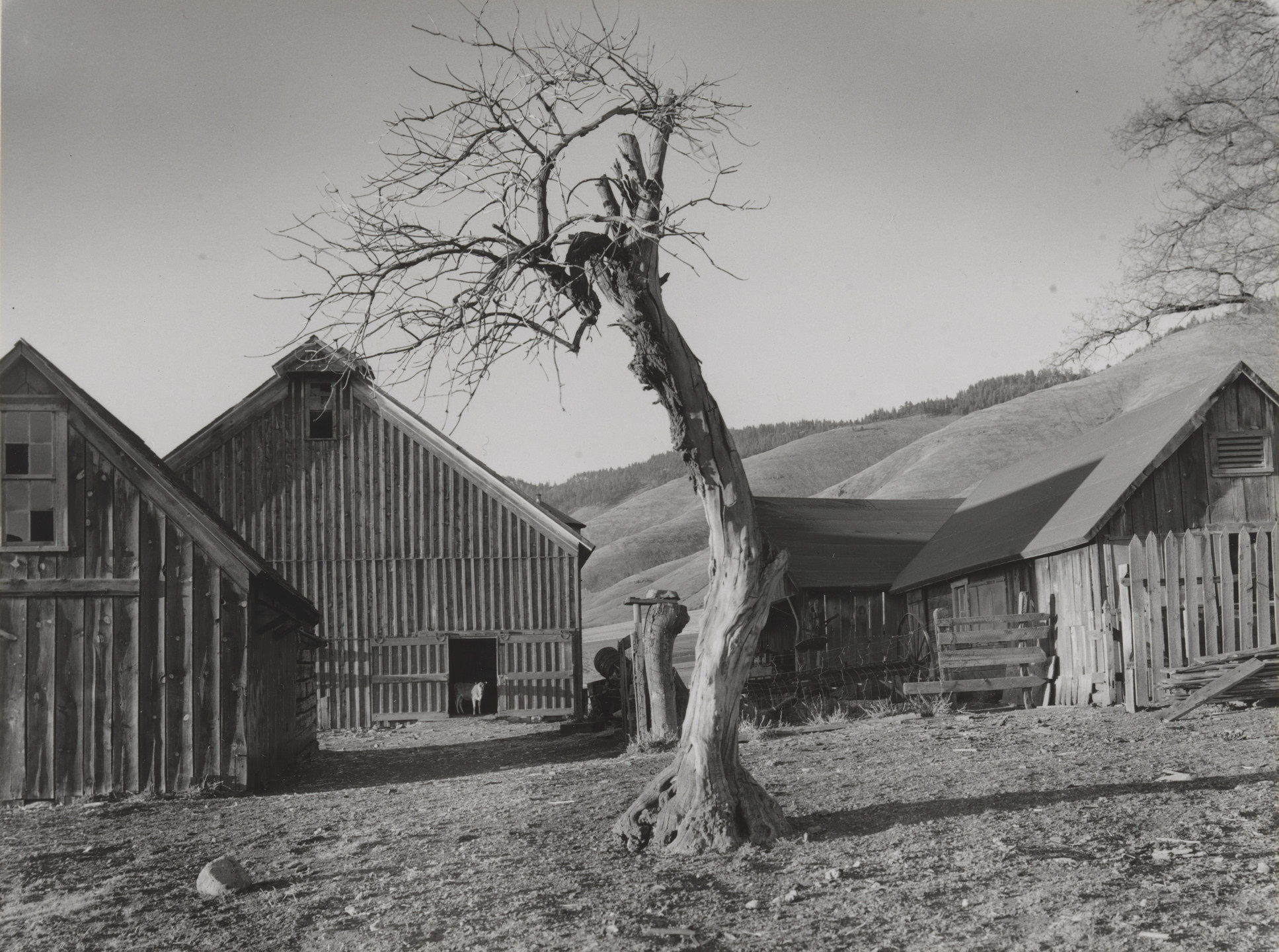 Minor White. Happy Farmyard, Grande Ronde Valley, Oregon. 1941