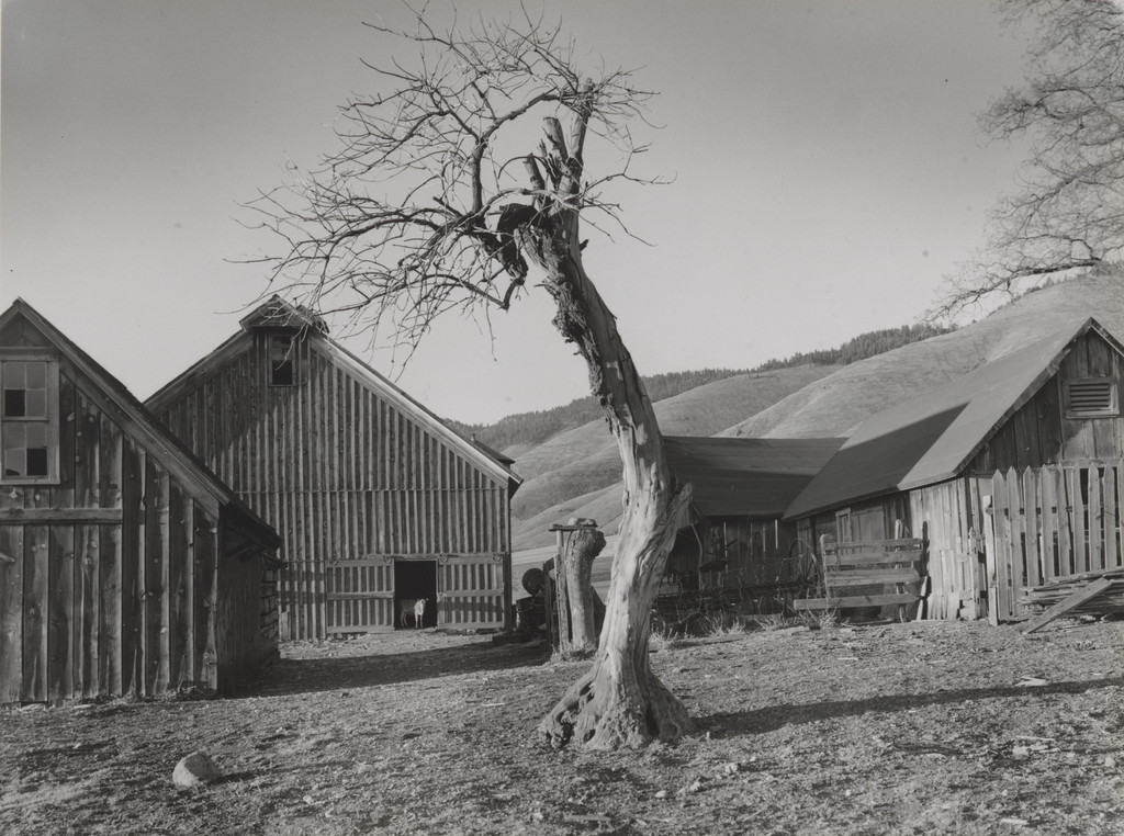 Happy Farmyard, Grande Ronde Valley, Oregon