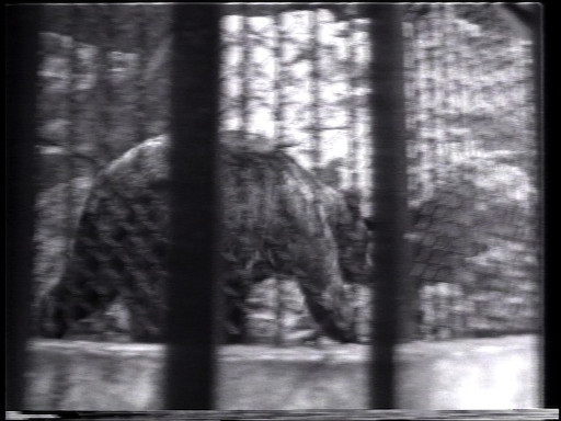 Simone Forti. Three Grizzlies. 1974