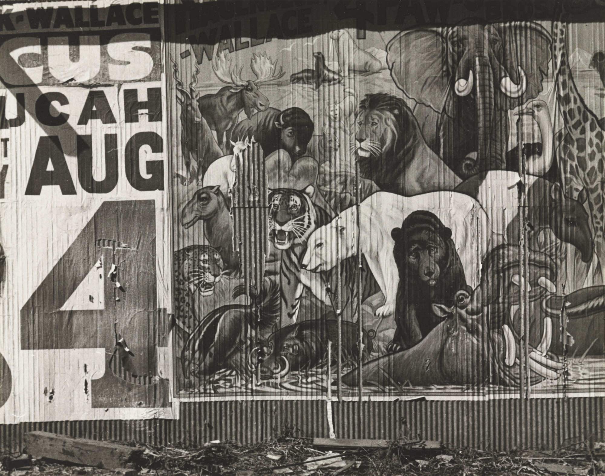 Ben Shahn. Circus Poster, Smithland, Kentucky