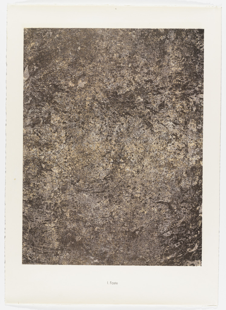 Splendor (Faste) from the portfolio Spectacles from Phenomena (Les Phénomènes)