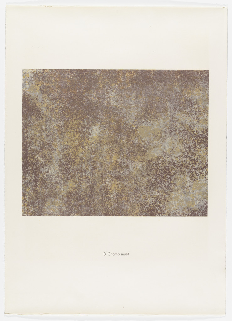 Mute Field (Champ muet) from the portfolio Spectacles from Phenomena (Les Phénomènes)