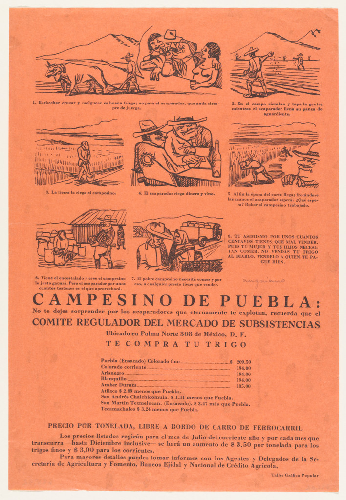 Peasant of Puebla (Campesino de Puebla)