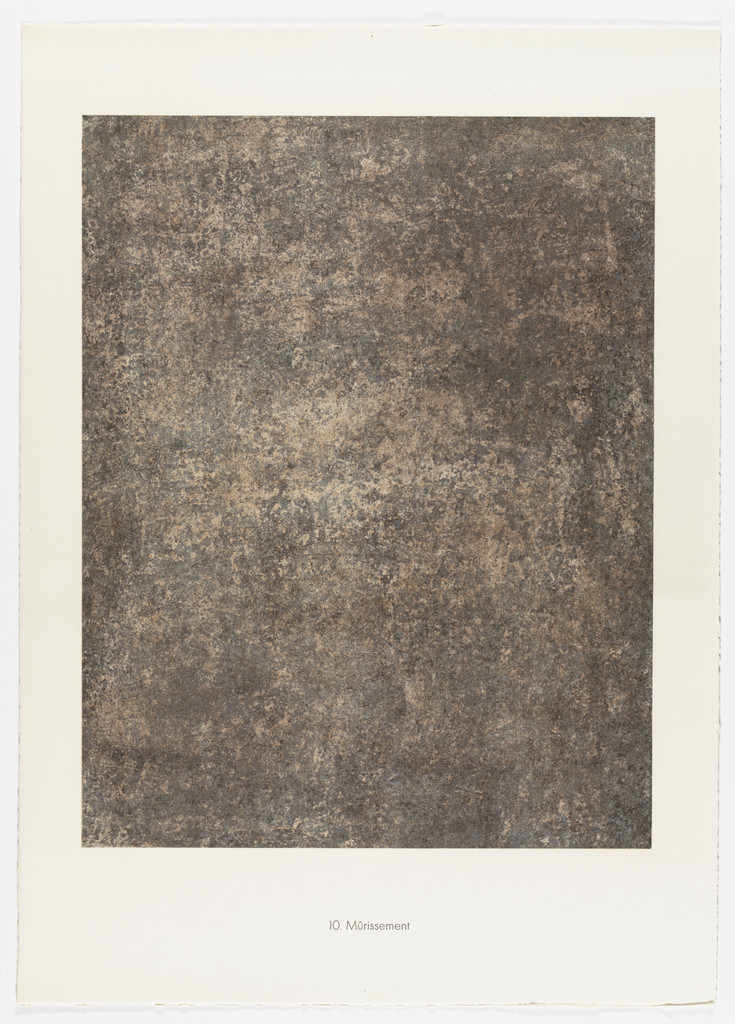 Ripening (Mûrissement) from Banalities (Banalités) from Phenomena (Les Phénomènes)