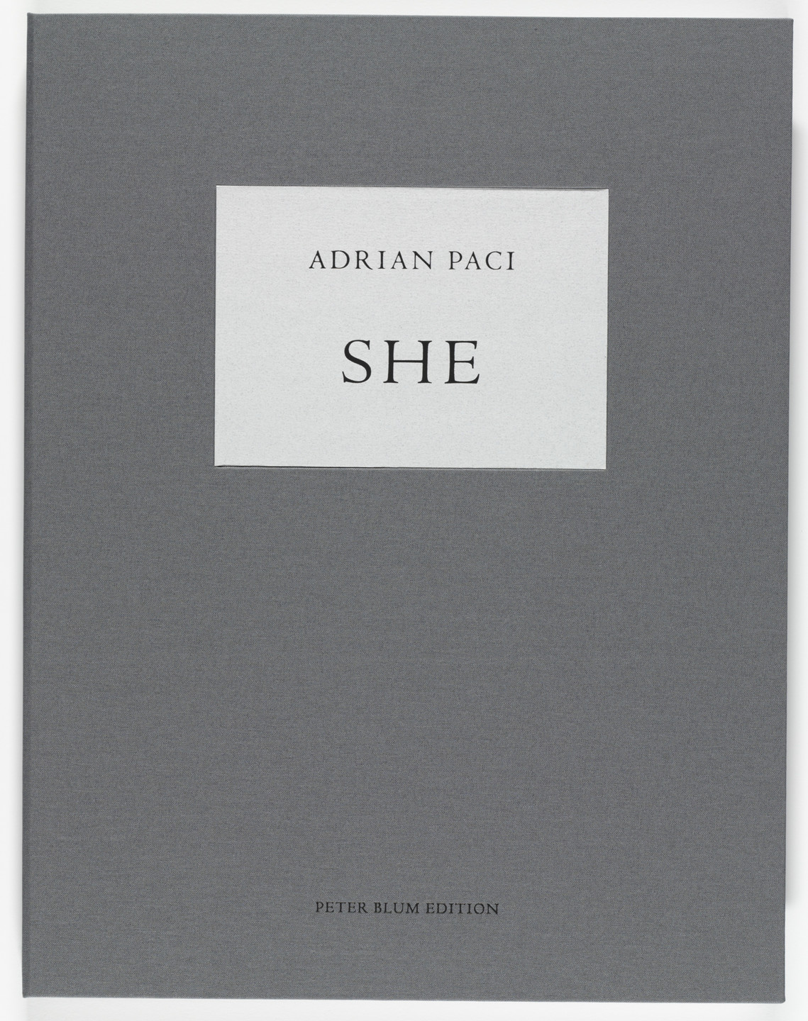 Adrian Paci. She. 2008