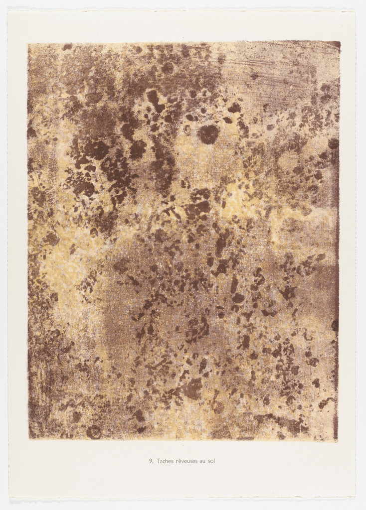 Dreamy Marks in Soil (Taches réveuses au sol) from the portfolio Fields of Silence (Champs de silence) from Phenomena (Les Phénomènes)