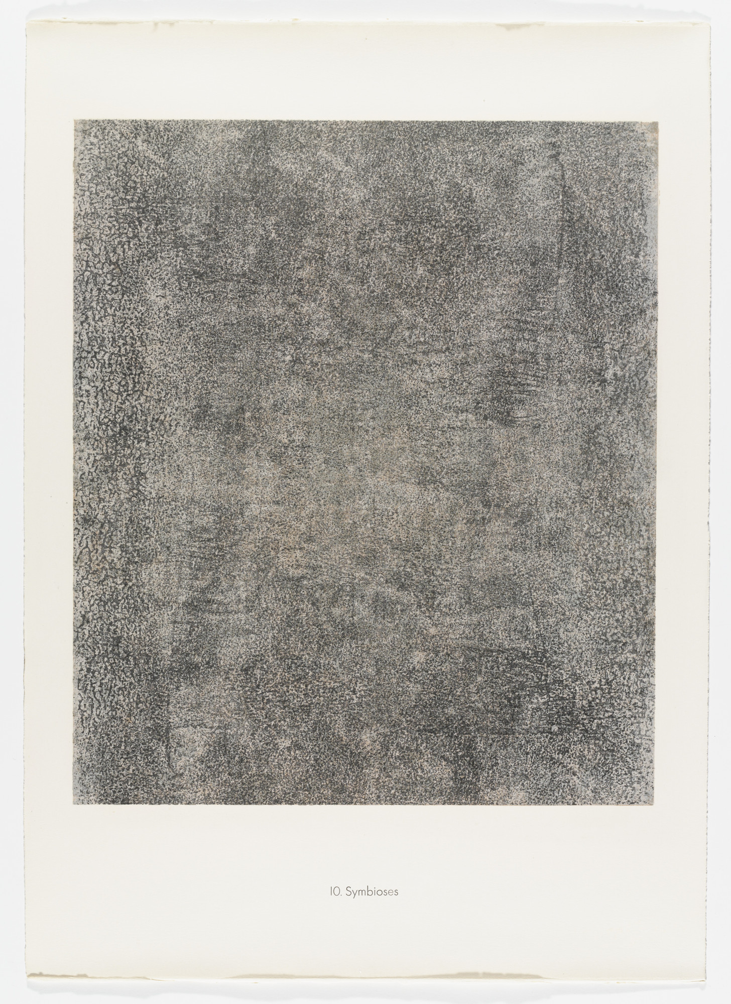 Jean Dubuffet. Symbiosis ( Symbioses ) from the portfolio
