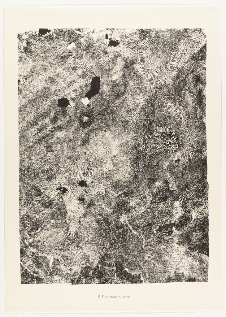 Lively Blot (Flétrissure allègre) from the portfolio Sites and Paths (Sites et chaussées) from Phenomena (Les Phénomènes)