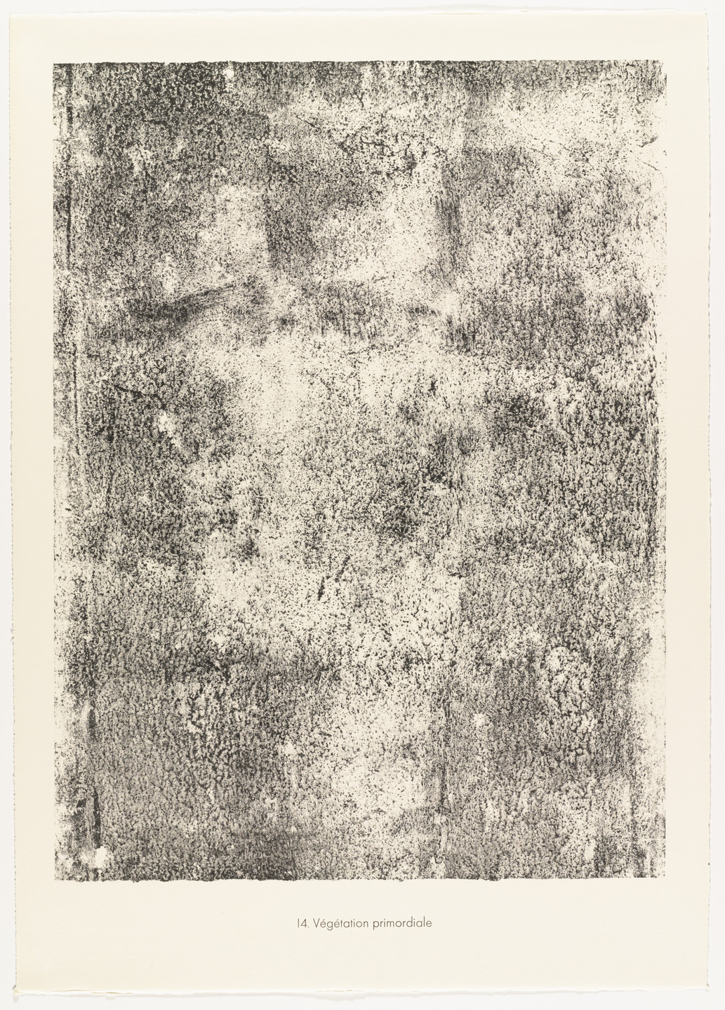 Jean Dubuffet. Primordial Vegetation (Végétation primordiale) from the portfolio Sites and Paths (Sites et chaussées) from Phenomena (Les Phénomènes). 1959