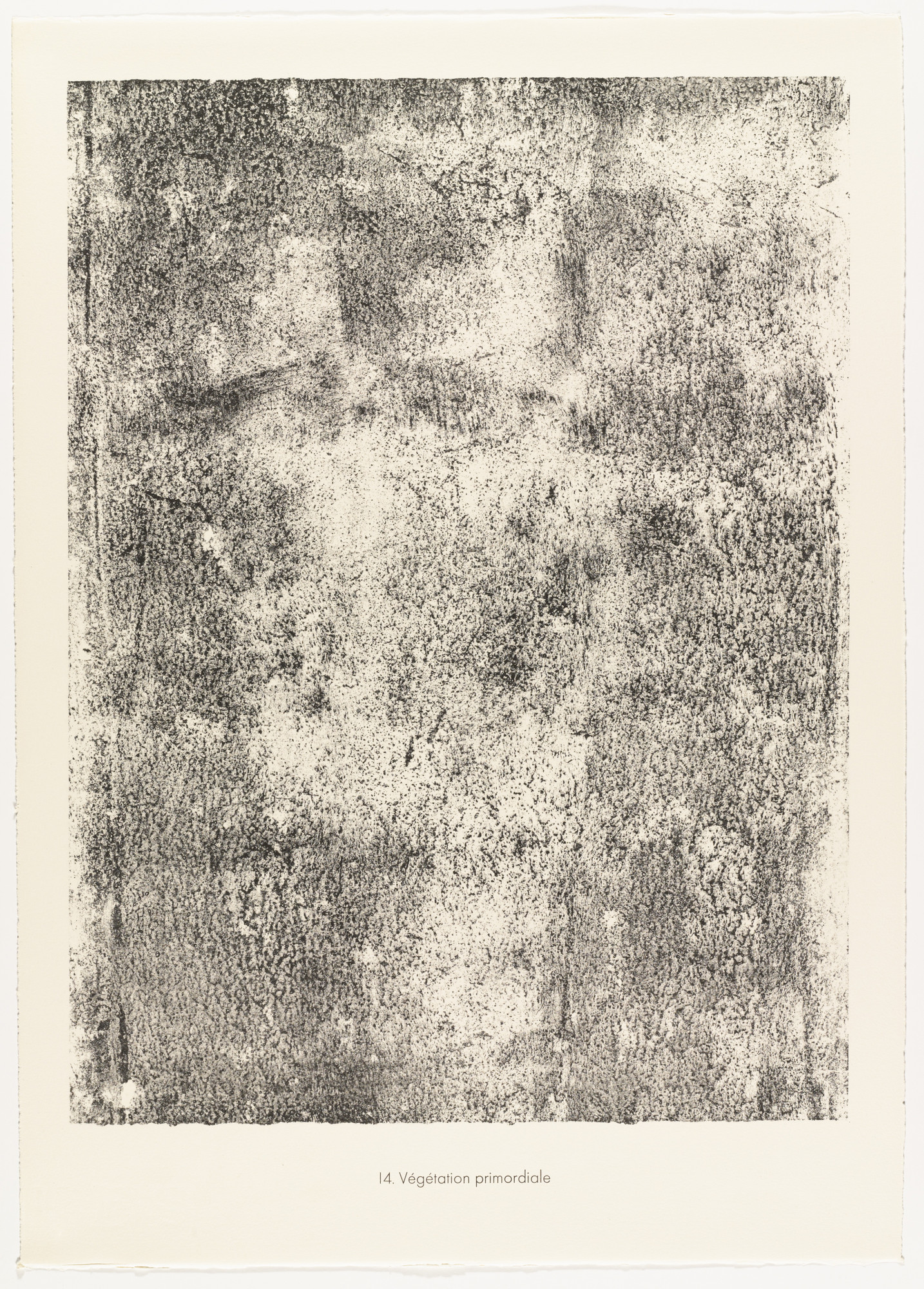 Jean Dubuffet. Primordial Vegetation ( Végétation primordiale ) from the portfolio Sites and Paths ( Sites et chaussées ) from Phenomena ( Les Phénomènes )