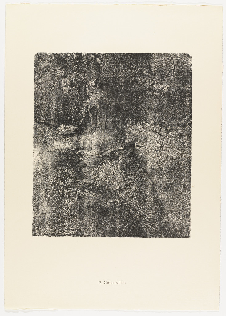 Carbonization (Carbonisation) from Elements, Moments (Eléments, Moments) from Phenomena (Les Phénomènes)