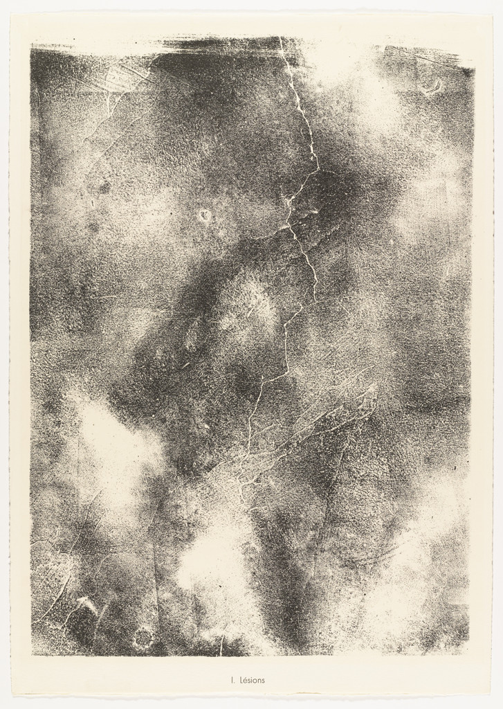 Lesions (Lésions) from the portfolio Territories (Territoires) from Phenomena (Les Phénomènes)
