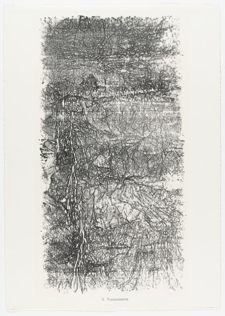 Transmissions from the portfolio Territories (Territoires) from Phenomena (Les Phénomènes)