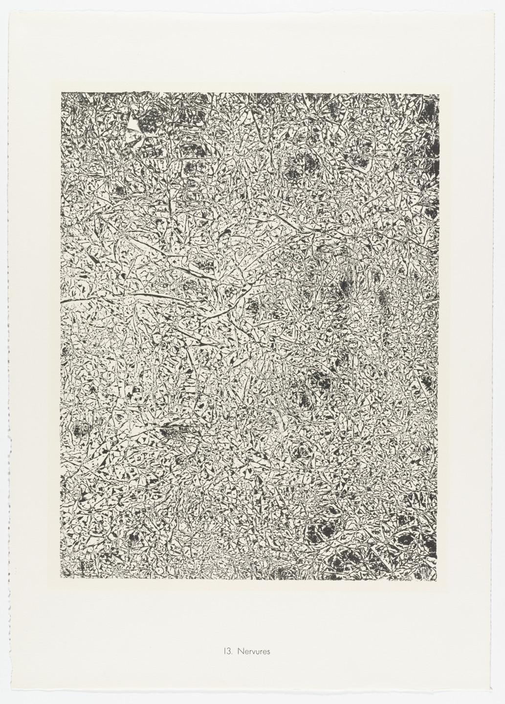 Jean Dubuffet. Nerves (Nervures) from the portfolio Territories (Territoires) from Phenomena (Les Phénomènes). 1959