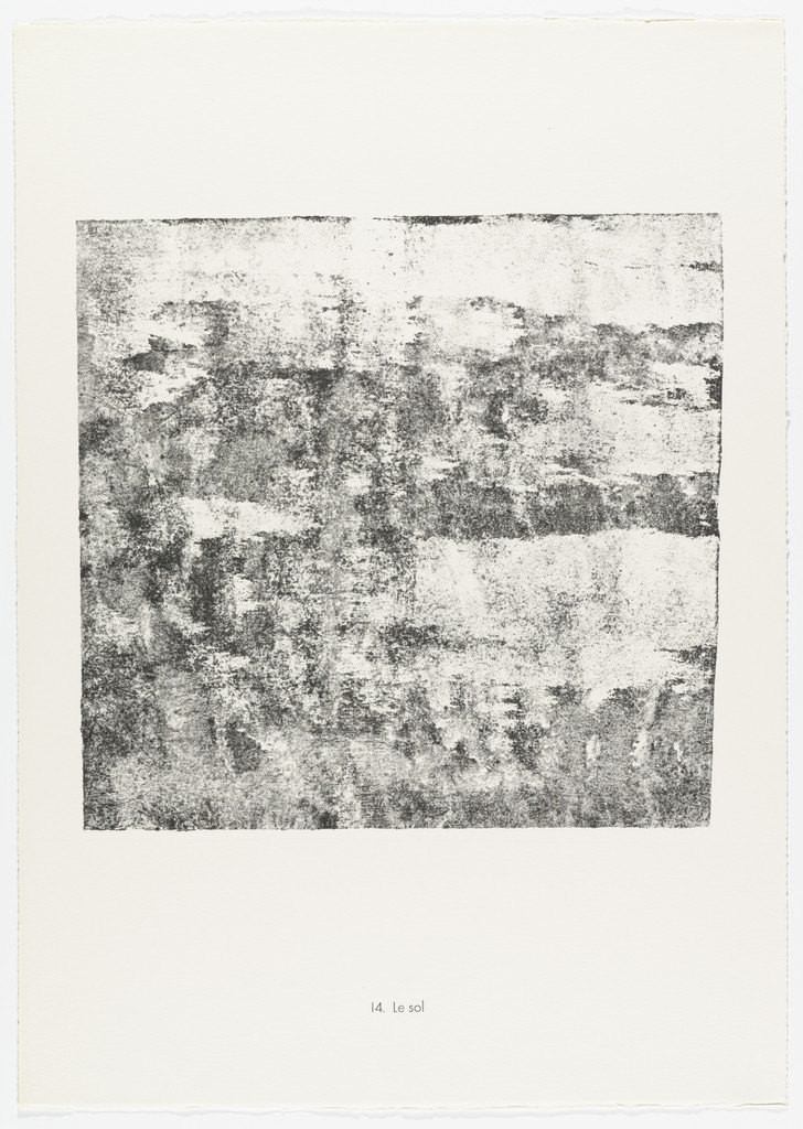 The Soil (Le Sol) from the portfolio Territories (Territoires) from Phenomena (Les Phénomènes)