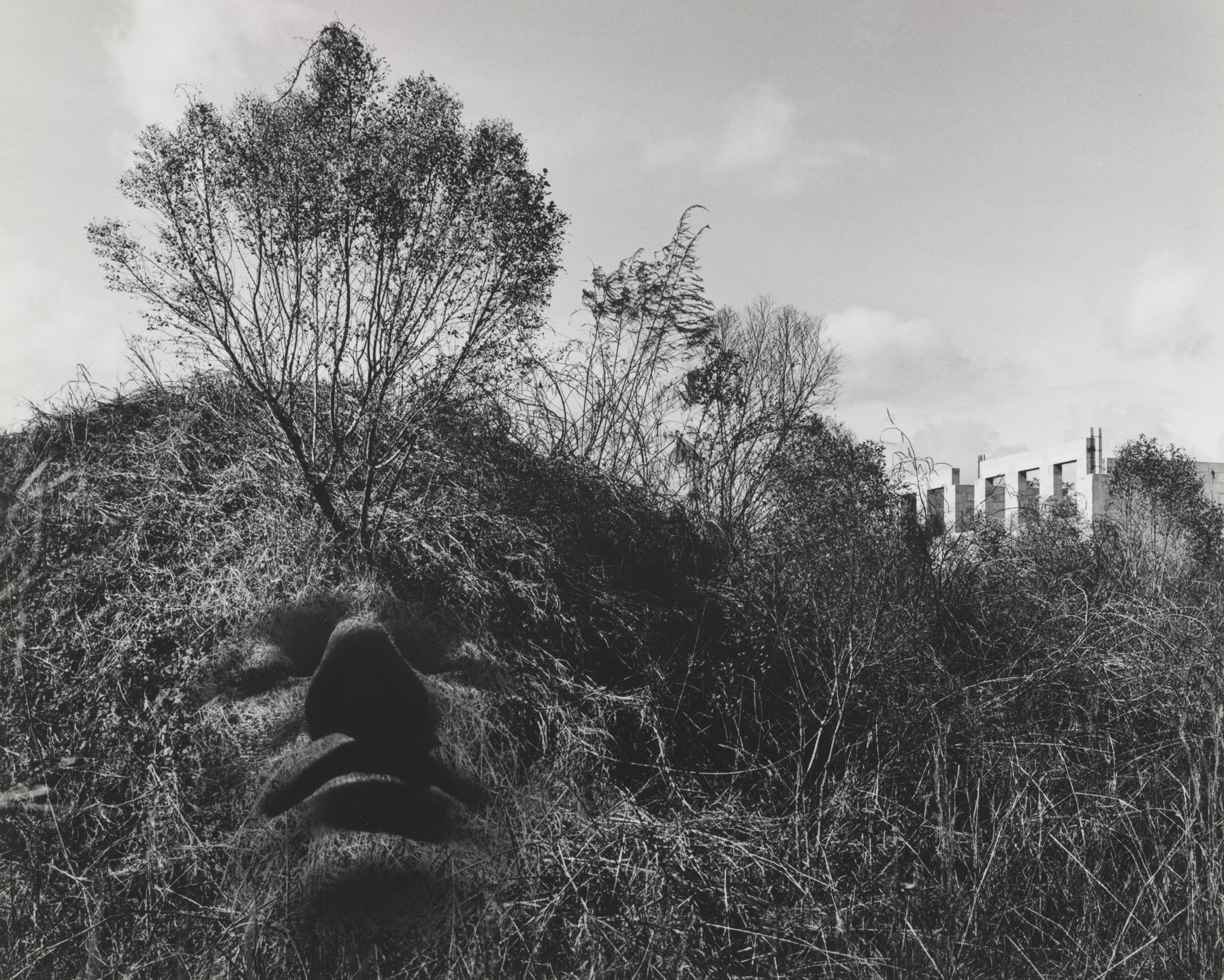 Jerry Uelsmann. Allegorical Landscape. 1963