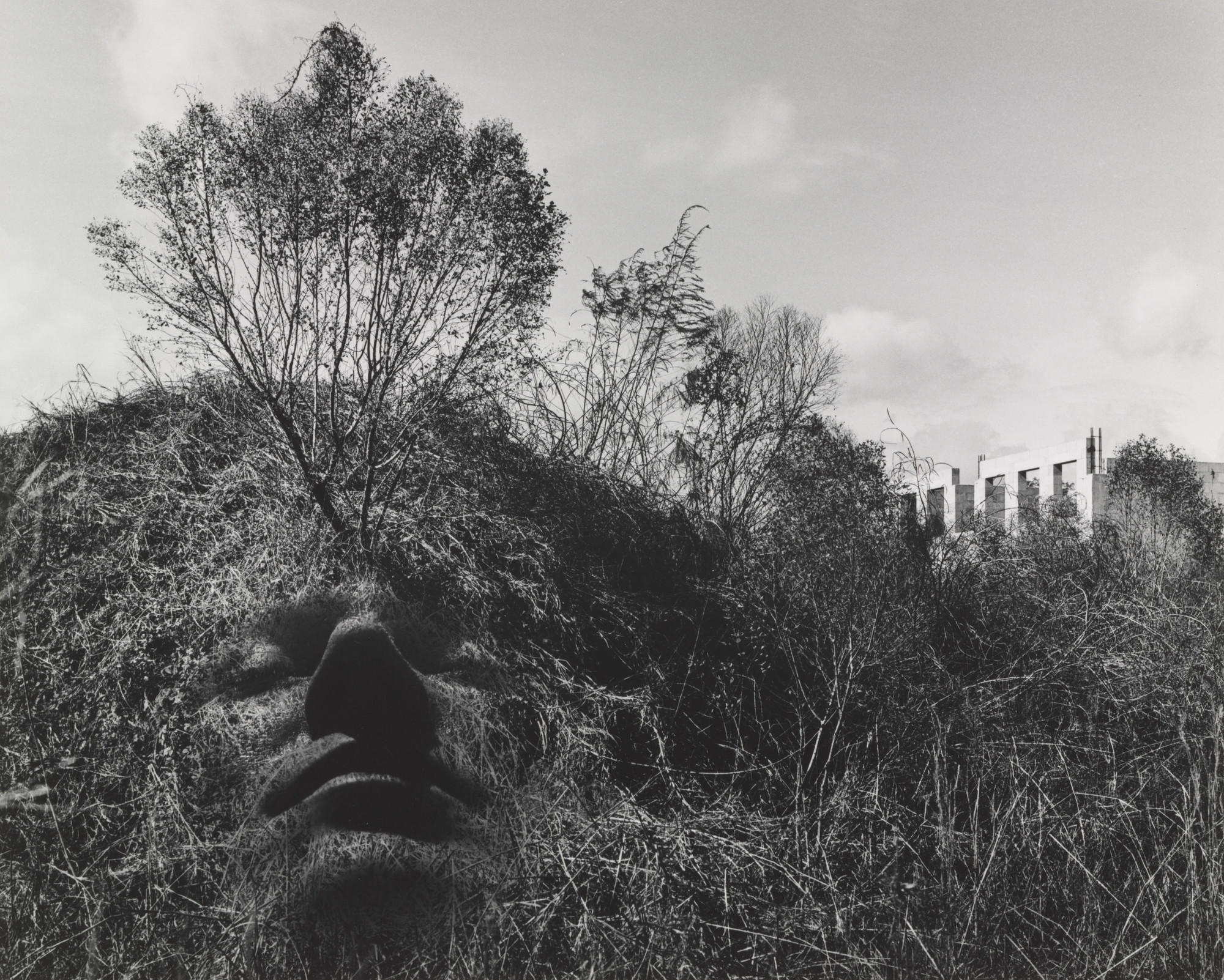 Jerry Uelsmann. Allegorical Landscape. 1963 | MoMA
