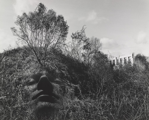 Allegorical Landscape