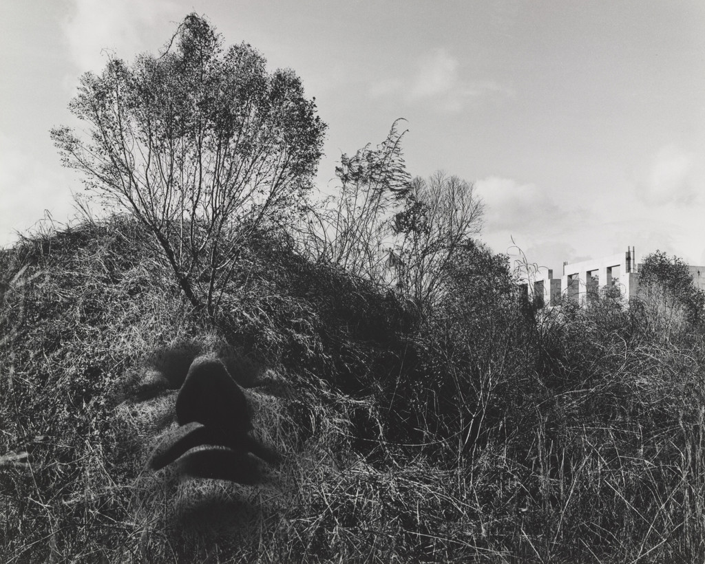Allegorical Landscape