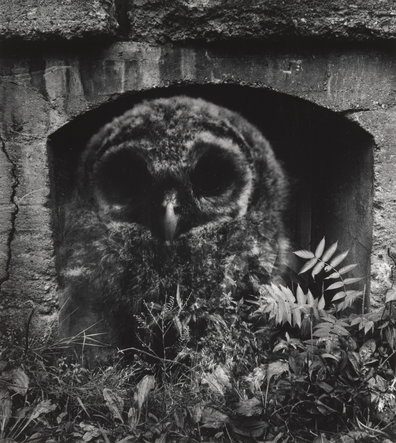 Jerry Uelsmann. Dwelling of the Wise. 1960