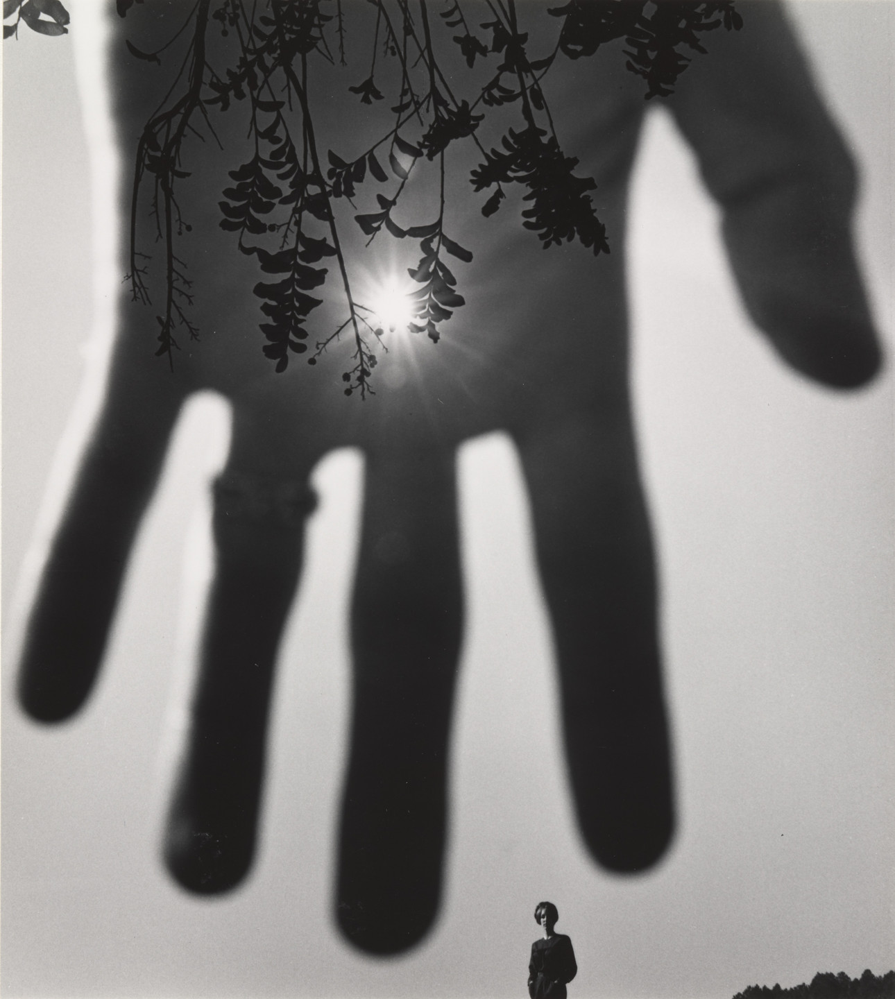 Jerry Uelsmann. The Feel of Light. 1966
