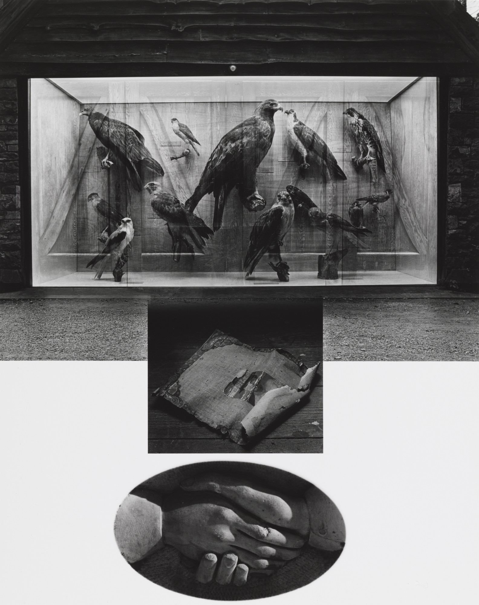 Jerry Uelsmann. Untitled