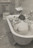 Ringl + Pit. ringl in Tub. 1931