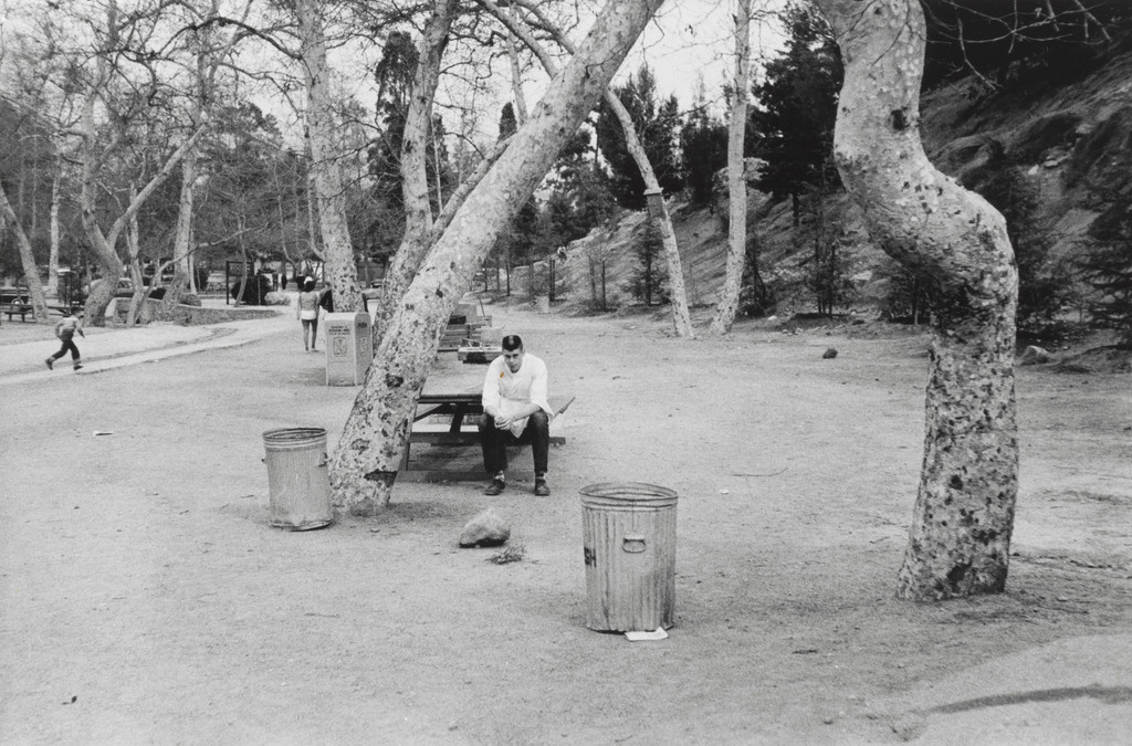 Picnic Ground--Glendale, California