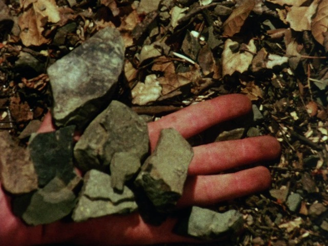 Program One: Aspen Projects