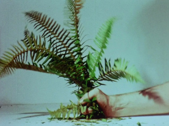 Dennis Oppenheim. Program One: Aspen Projects. 1970