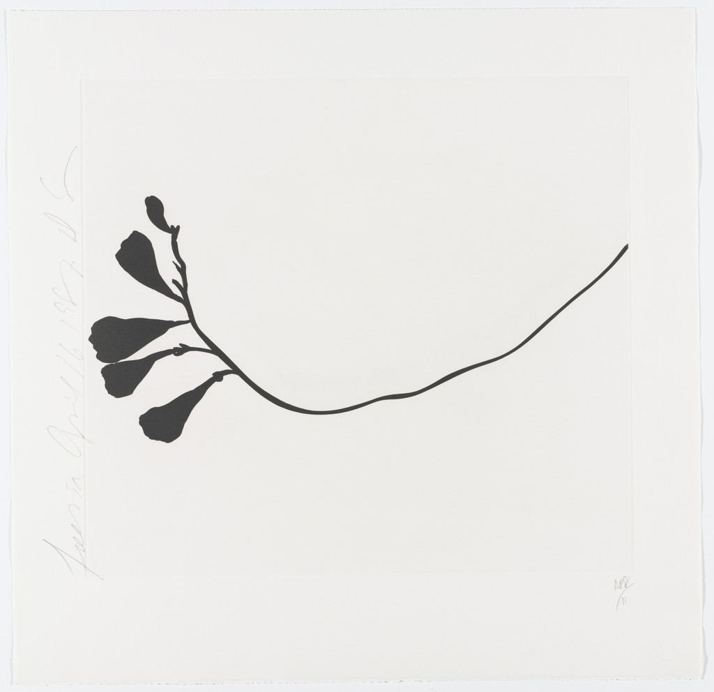 Black Freesias, Donald Sultan, 1987