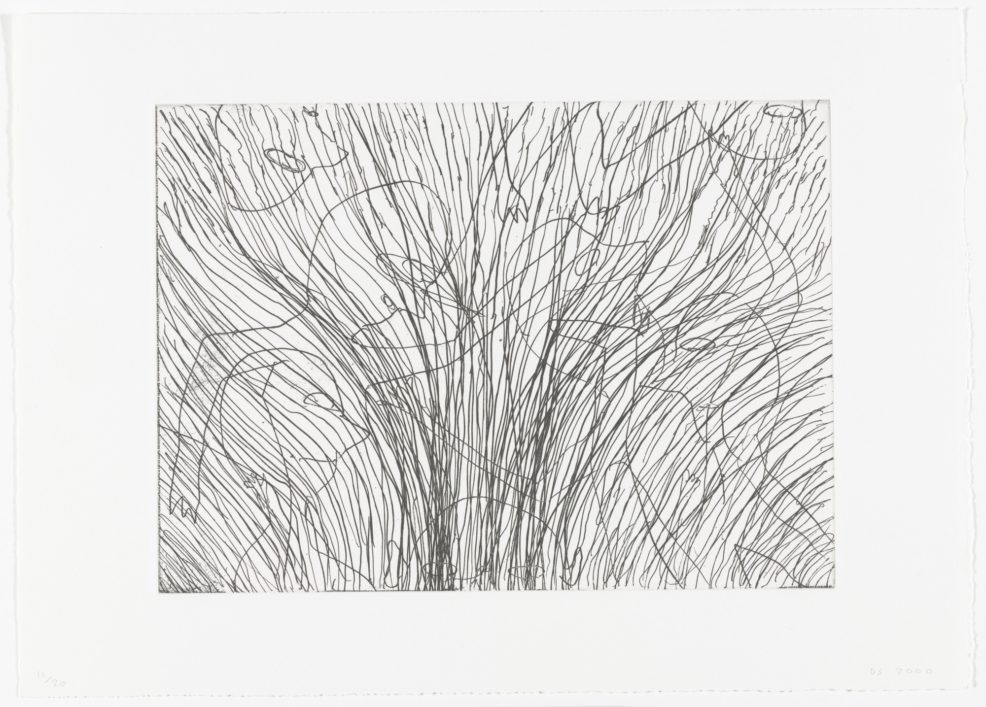 David Shrigley. Untitled
