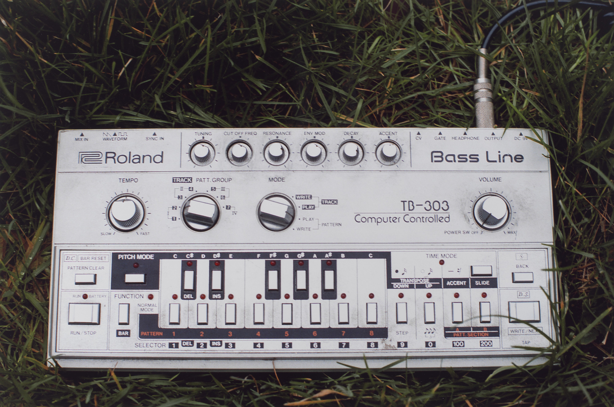 Wolfgang Tillmans. 303 in grass. 1993