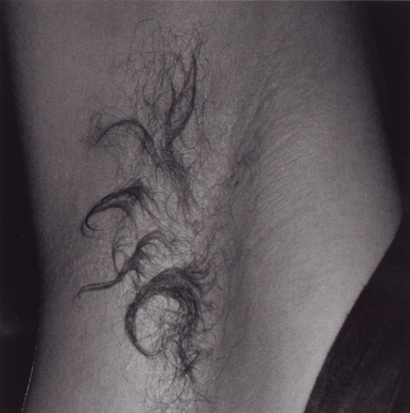 Wolfgang Tillmans. armpit. 1992