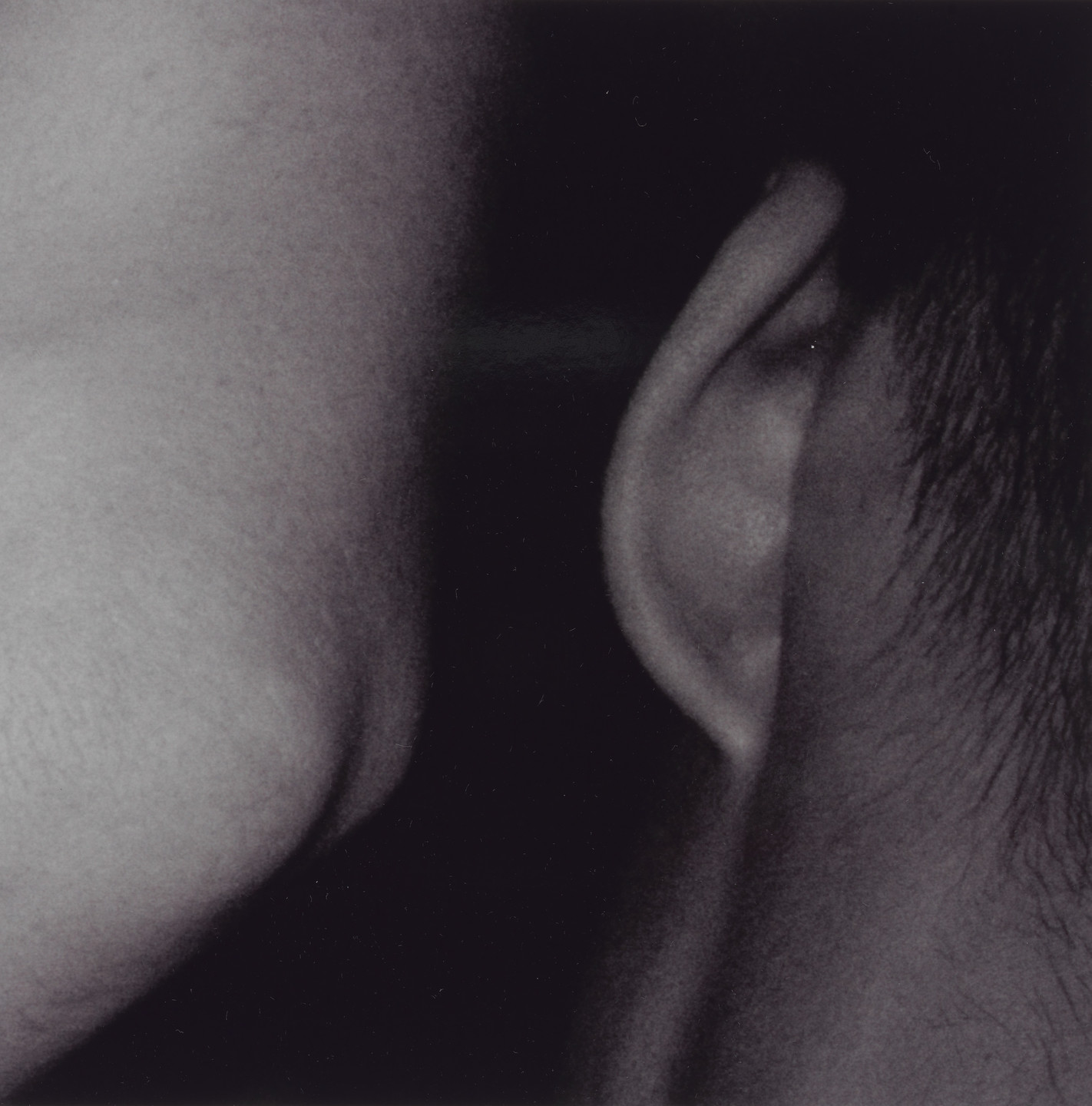 Wolfgang Tillmans. Chemistry square, ear. 1992